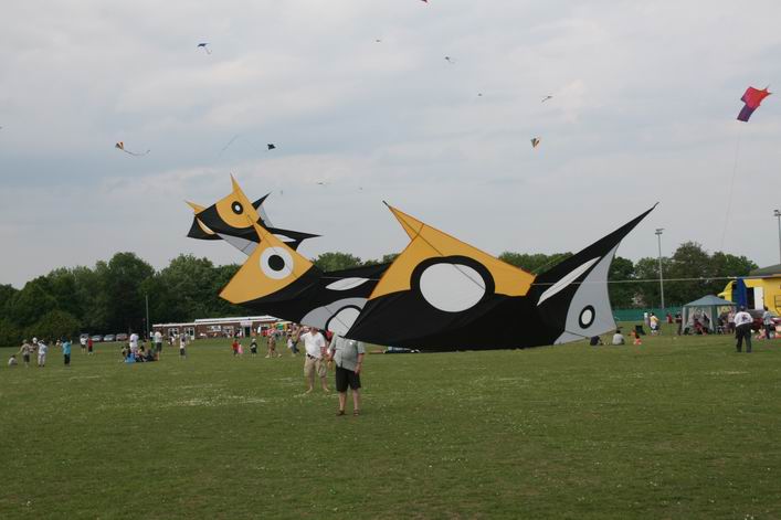 Basingstoke Kite Festival - 10bas05img013.jpg