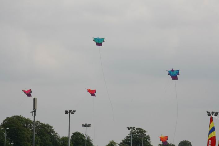 Basingstoke Kite Festival - 10bas06img012.jpg