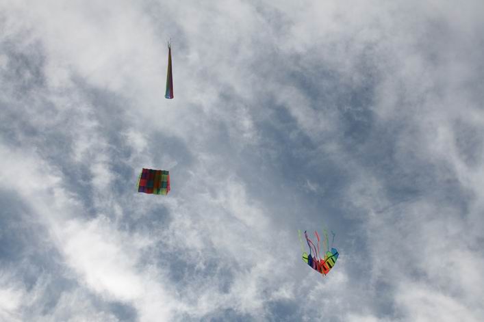Basingstoke Kite Festival - 10bas06img071.jpg