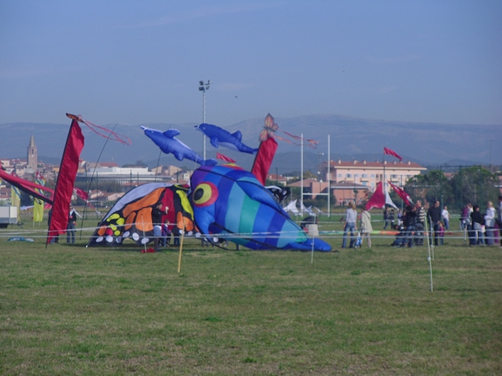 Frejus Kite Festival - France, 29-30 October 2011 - 11fre03img015.jpg