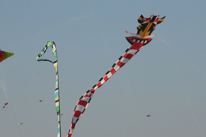 Frejus Kite Festival - France, 29-30 October 2011 - 11fre04img147.jpg