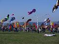 Frejus Kite Festival - France, 29-30 October 2011 - 11fre03img146.jpg