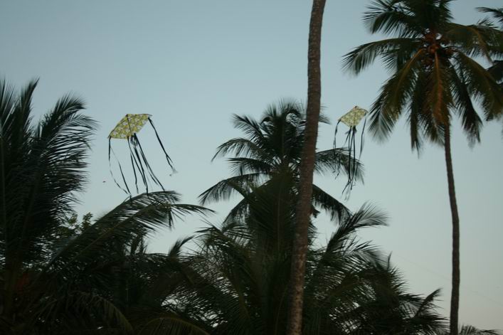 Kappad Beach, Calicut, Kerala, India - 10ker05img113.jpg