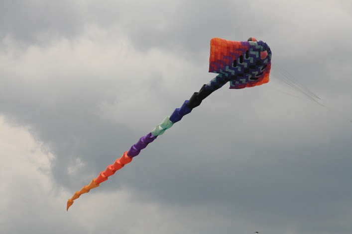 Malmesbury Kite Festival, 23-24 July, 2011 - 11mal23img007.jpg