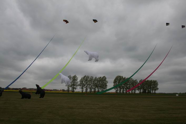 Suffolk Kite Festival - 10rou16img020.jpg