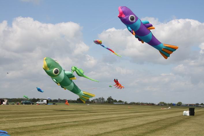 Suffolk Kite Festival - 10rou16img052.jpg