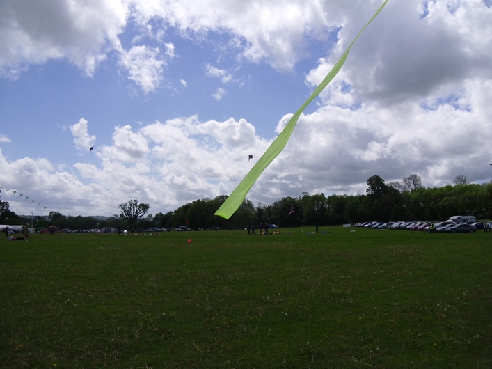 Swindon Kite Festival - 11swi08img011.jpg