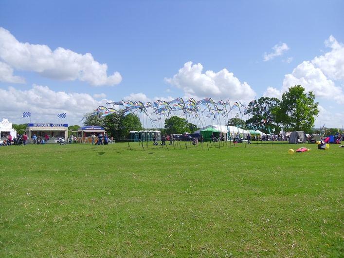 Swindon Kite Festival - 11swi08img035.jpg