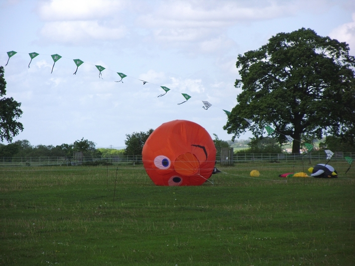 Swindon Kite Festival - 11swi08img061.jpg